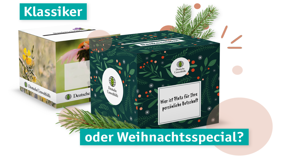 Die Spendenbox - der Klassiker und die Weihnachtsedition.