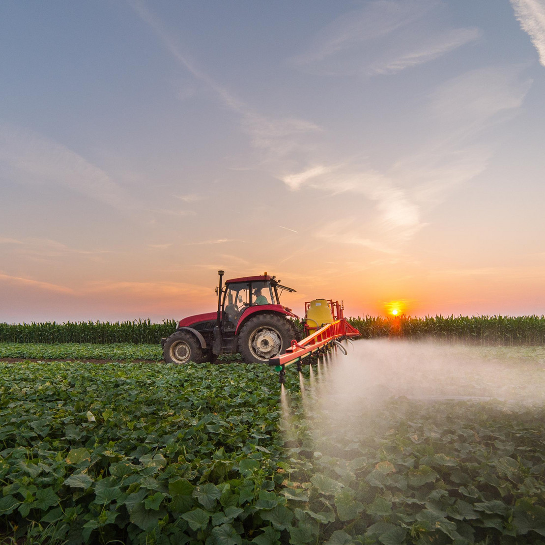 Ein Traktor sprüht Pestizide auf einem Gemüsefeld.