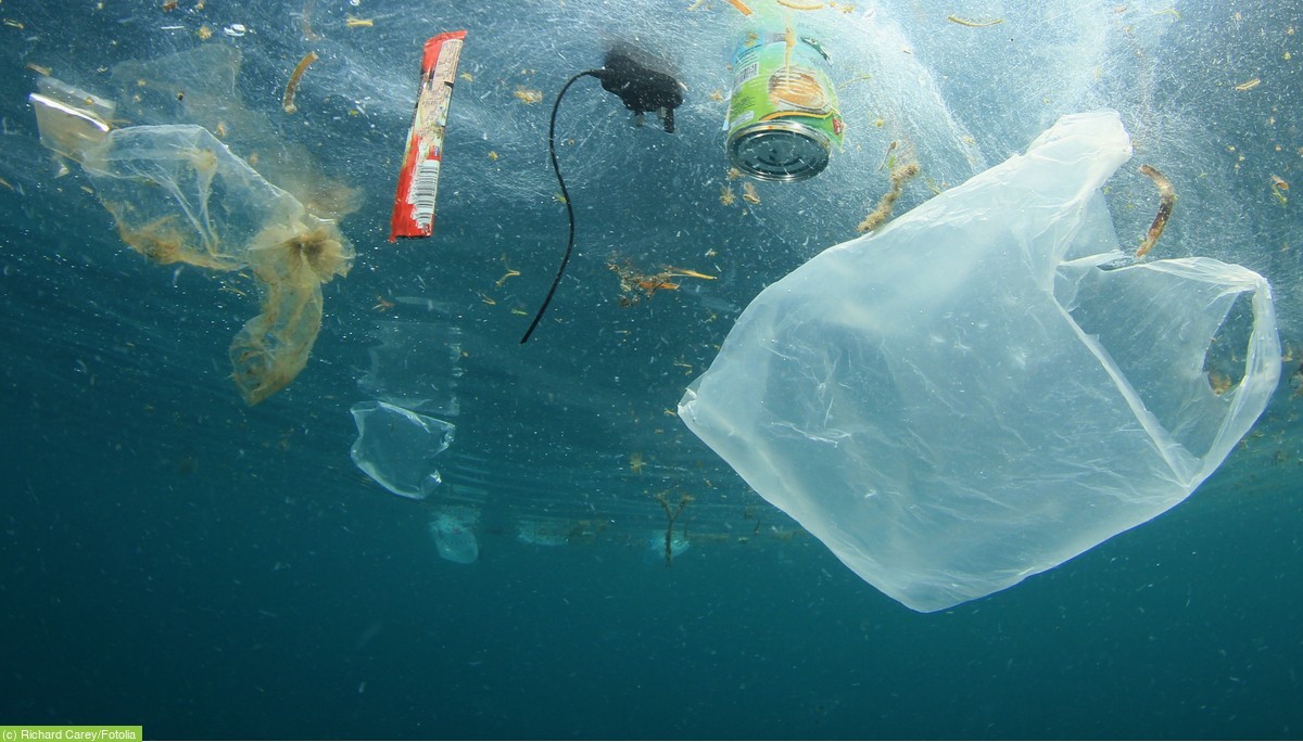 Plastik im Meer – Deutsche Umwelthilfe e.V.